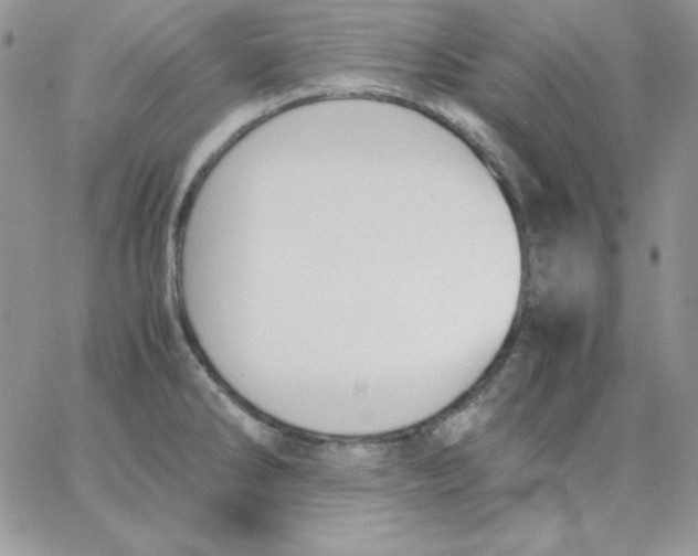 X0000062901286200602031823