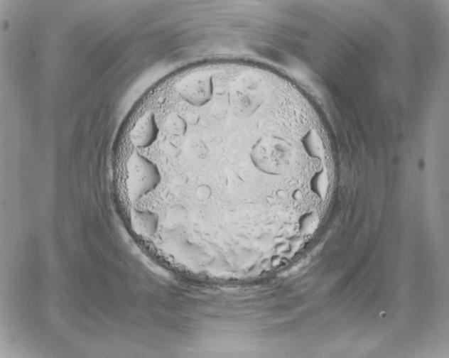 X0000062901287200602031823