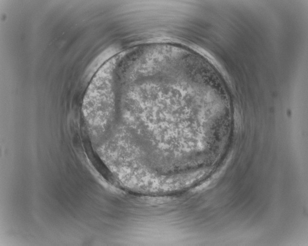 X0000062901289200602031823