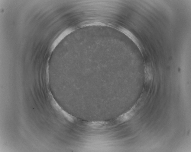 X0000062901290200602031823