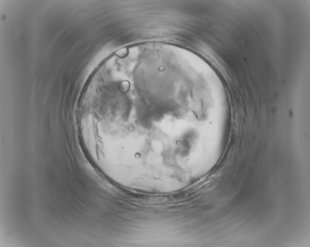 X0000062901291200602031823