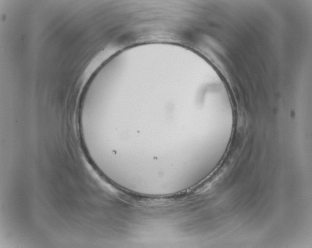 X0000062901293200602031823