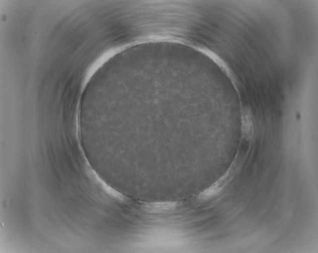 X0000062901294200602031823