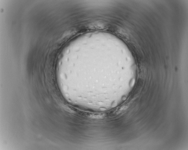 X0000062901297200602031822