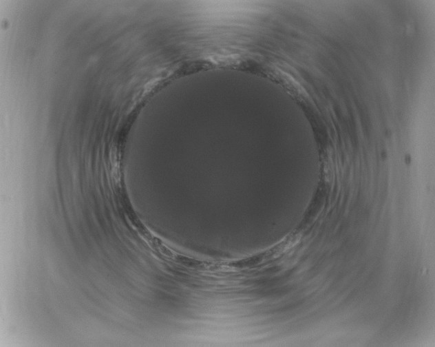 X0000062901298200602031822