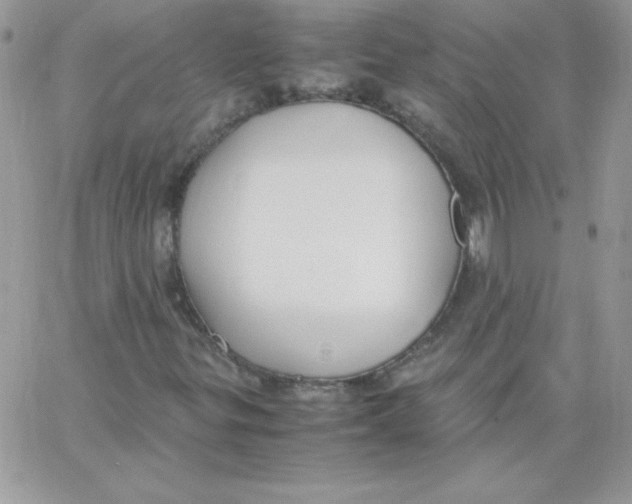 X0000062901299200602031822