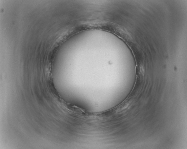 X0000062901300200602031822