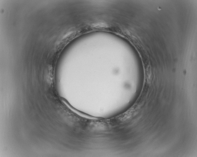 X0000062901301200602031822