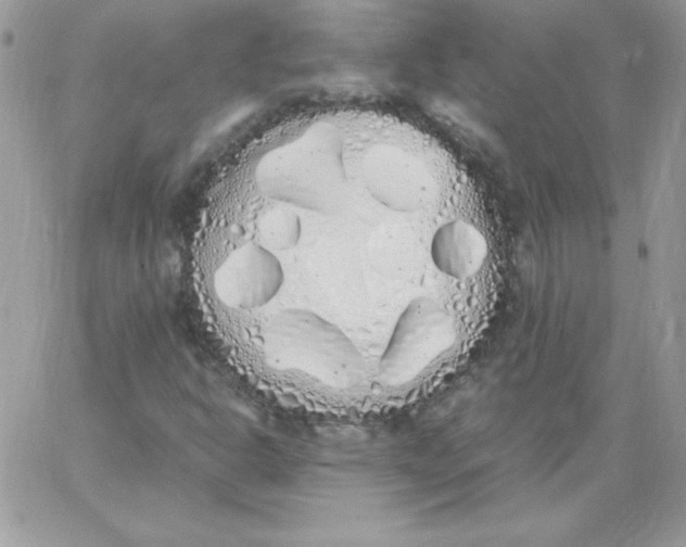 X0000062901302200602031822