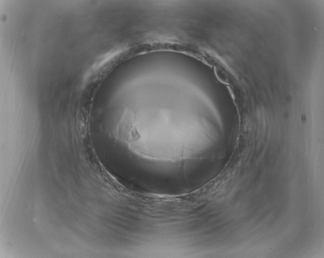 X0000062901303200602031822