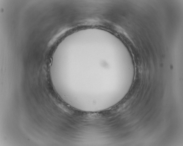 X0000062901304200602031822