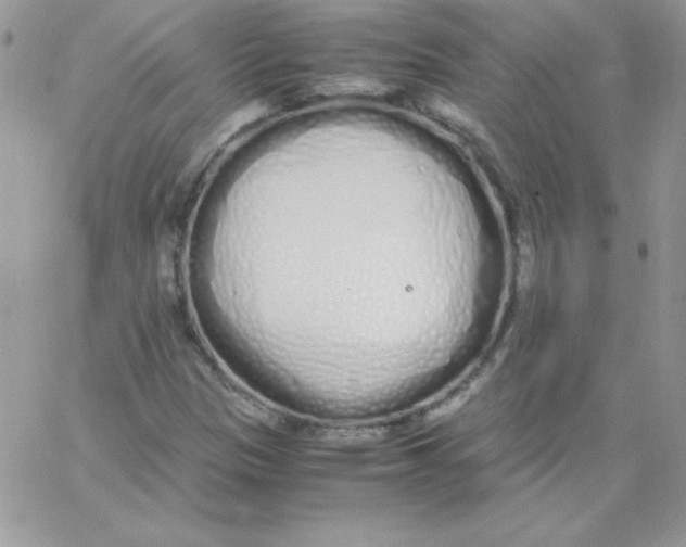 X0000062901305200602031822