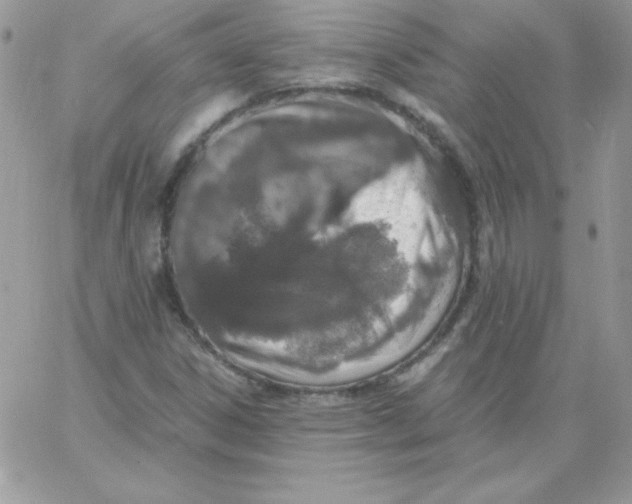 X0000062901306200602031822