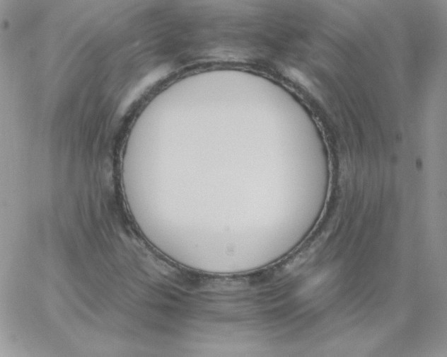 X0000062901307200602031822