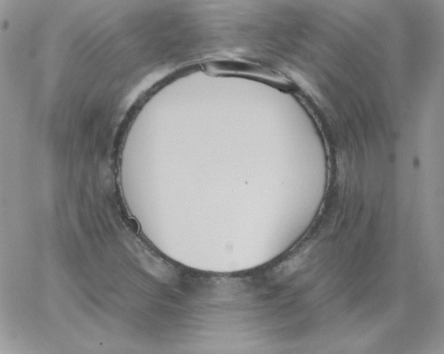 X0000062901308200602031822