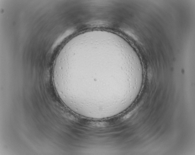 X0000062901309200602031822