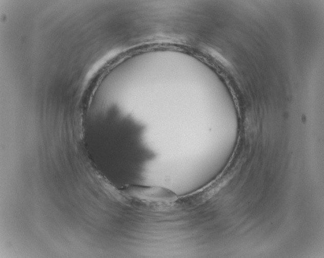 X0000062901310200602031822