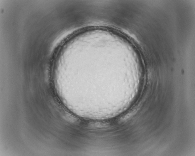 X0000062901311200602031822