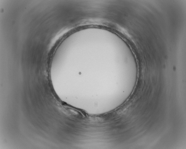 X0000062901312200602031822