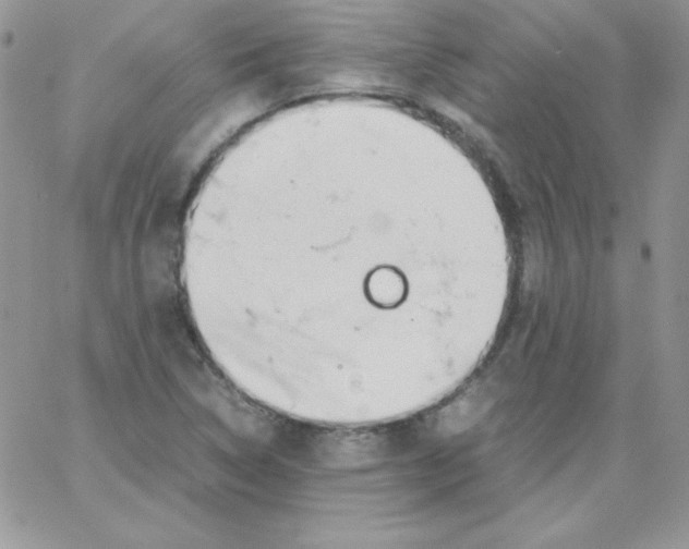 X0000062901314200602031822