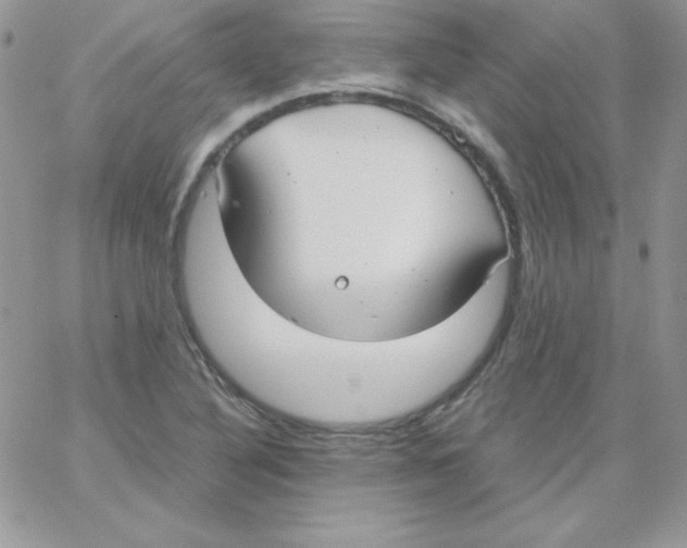 X0000062901316200602031822