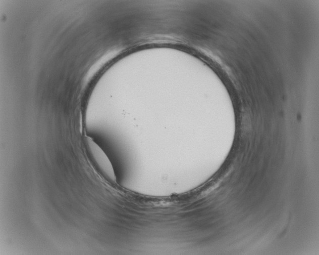 X0000062901317200602031822