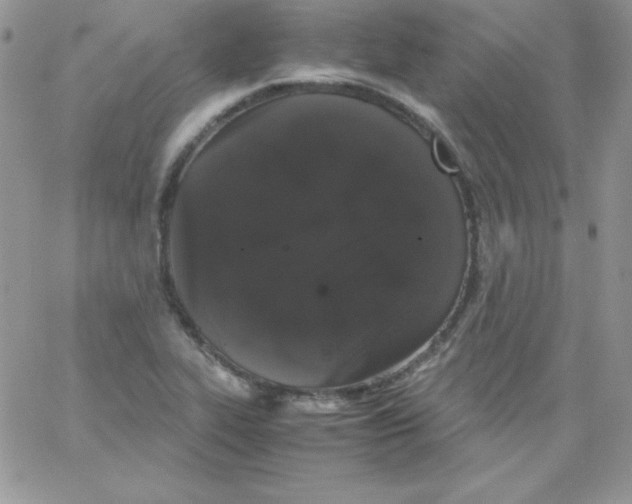 X0000062901319200602031822