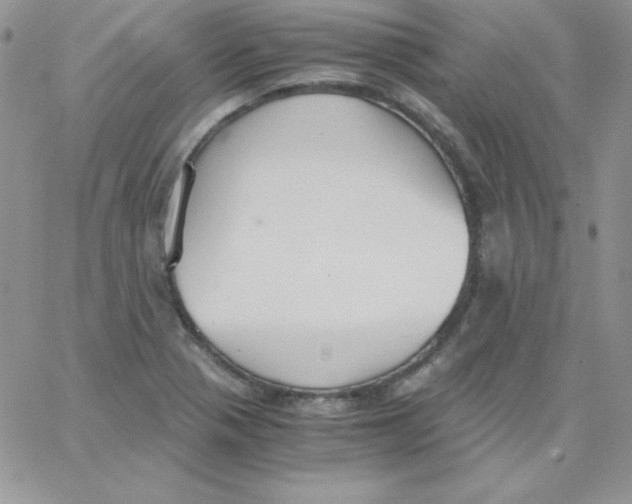 X0000062901321200602031822