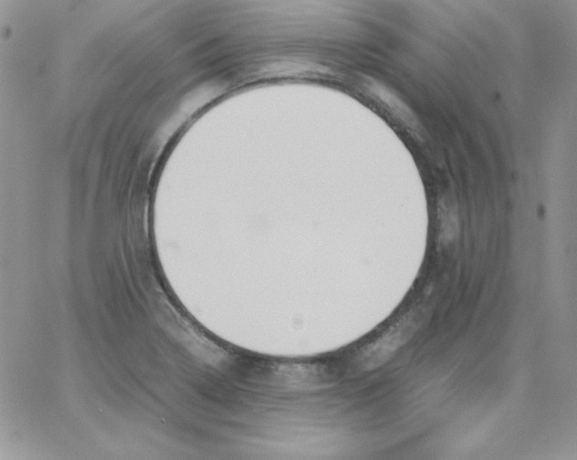 X0000062901322200602031822