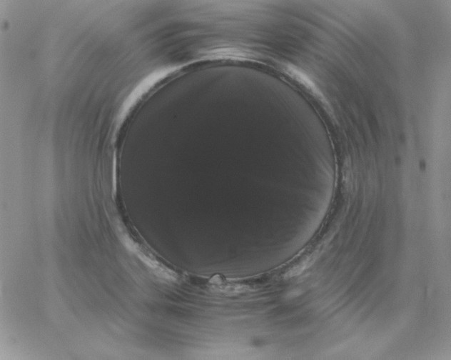 X0000062901323200602031822