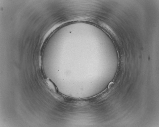 X0000062901324200602031822