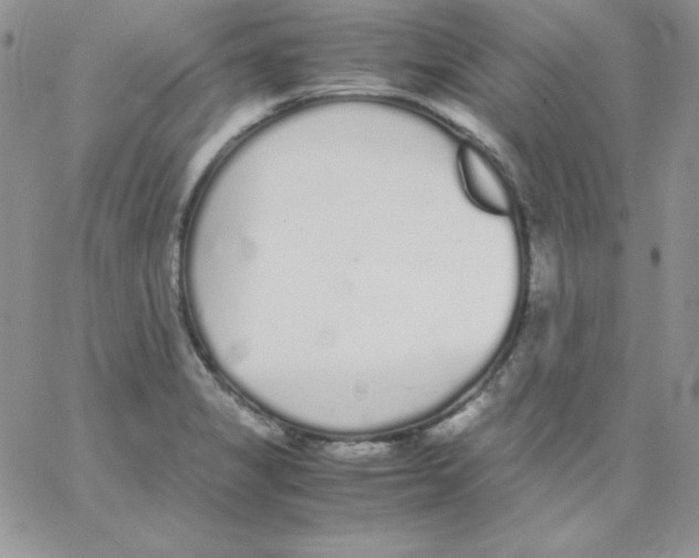 X0000062901325200602031822