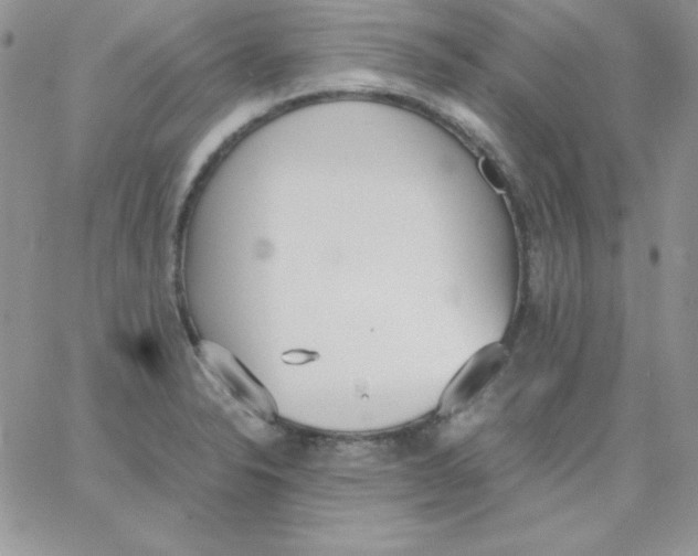 X0000062901326200602031822