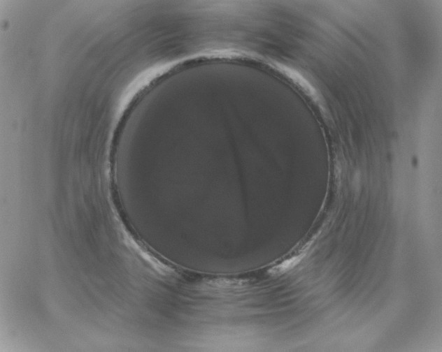 X0000062901327200602031822