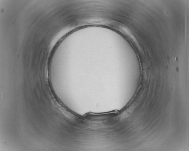 X0000062901328200602031822