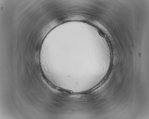 X0000062901329200602031822