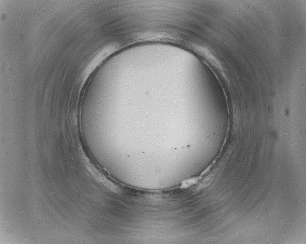 X0000062901330200602031822