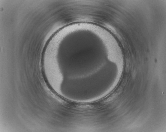 X0000062901331200602031822