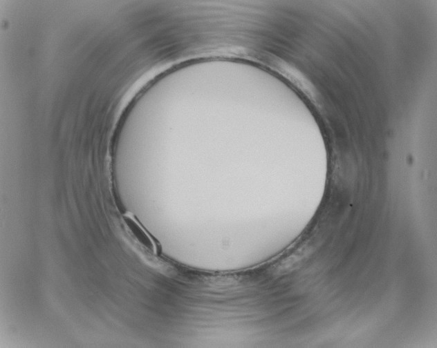 X0000062901332200602031822