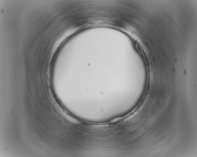 X0000062901333200602031822