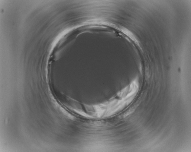 X0000062901334200602031822