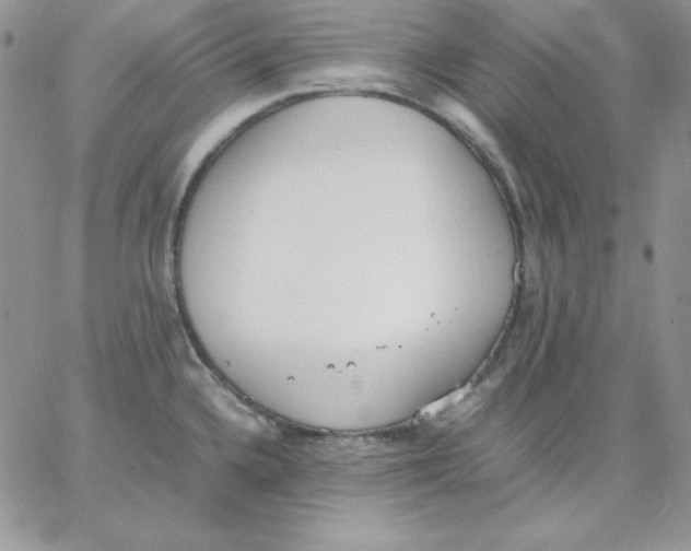 X0000062901336200602031822