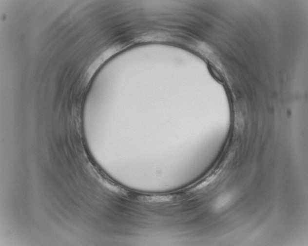 X0000062901337200602031822