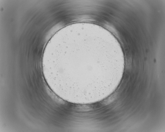 X0000062901338200602031822