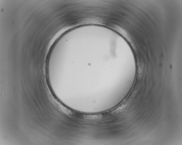 X0000062901339200602031822