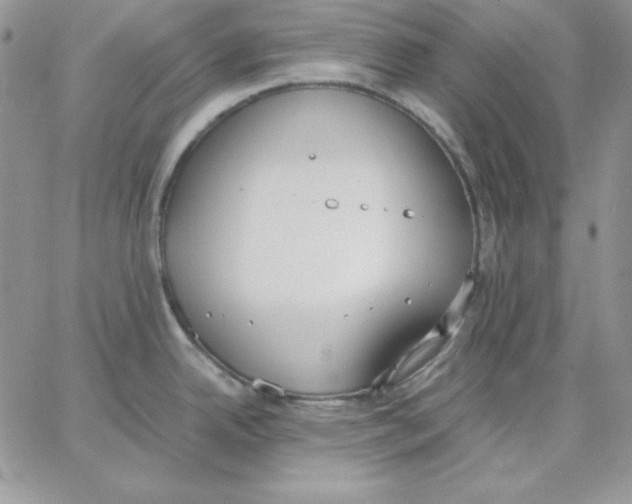 X0000062901342200602031822