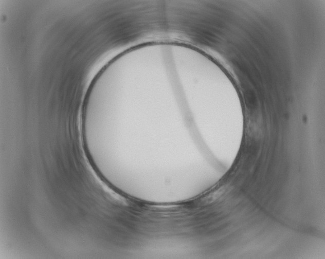 X0000062901343200602031822