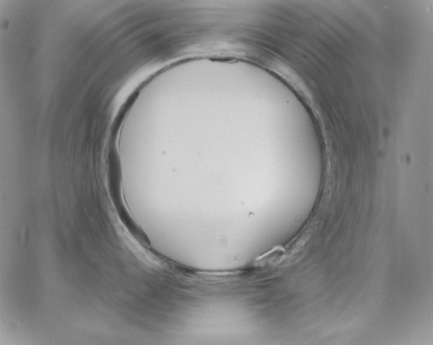 X0000062901344200602031822