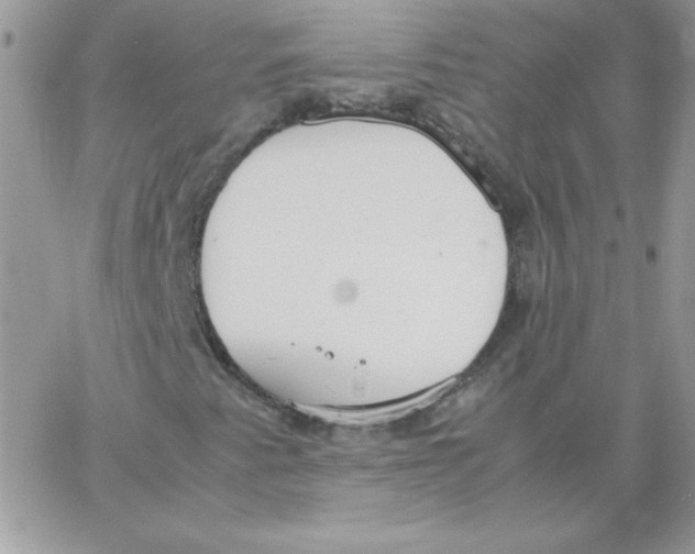 X0000062901345200602031822