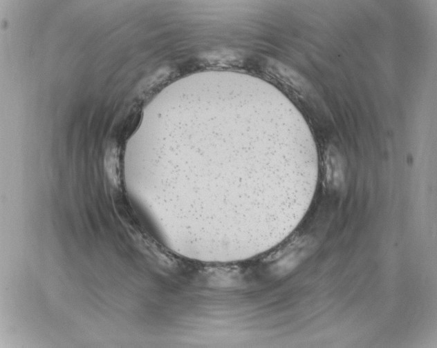 X0000062901346200602031822